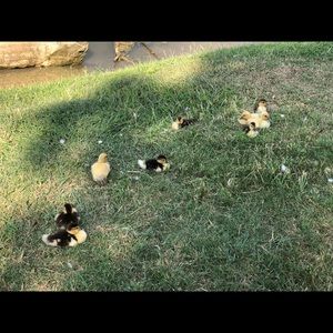 Meet your Posher, Julianna